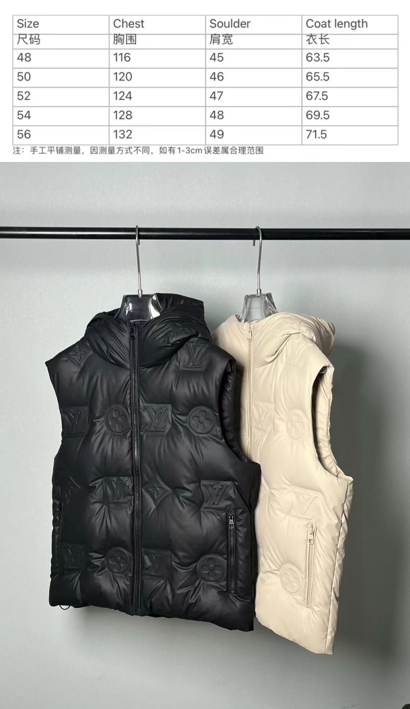 Louis Vuitton Down Jackets